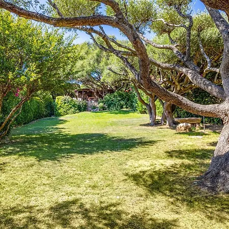 La Degli Ulivi Holiday home *