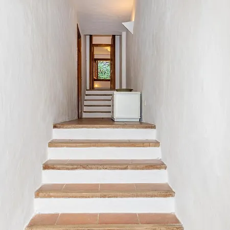 La Degli Ulivi Holiday home Arzachena